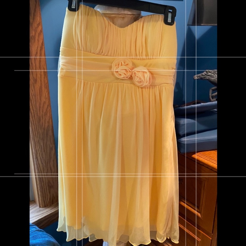 Beautiful, vibrant, fit and flare Speechless dress